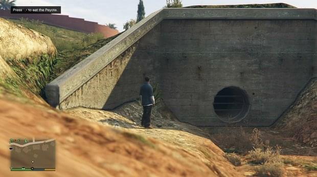 Peyote Location 10