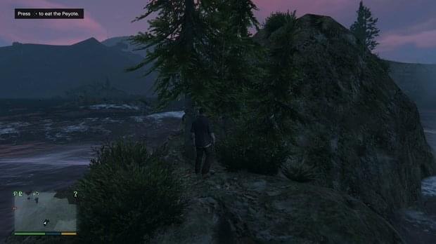 Peyote Location 11