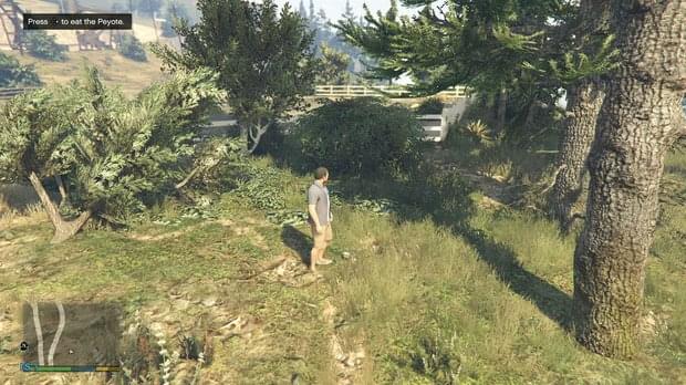 Peyote Location 14