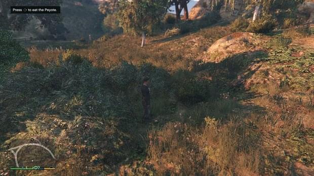 Peyote Location 15