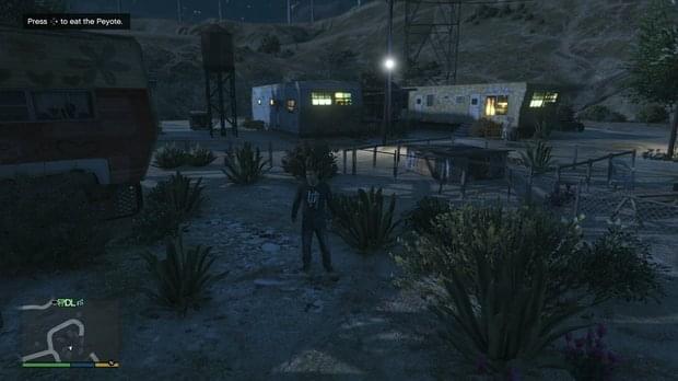 Peyote Location 16
