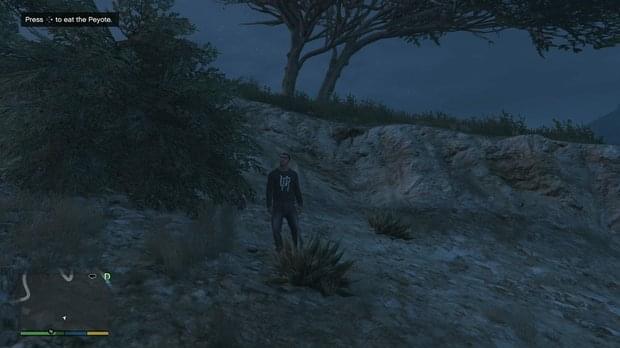 Peyote Location 17