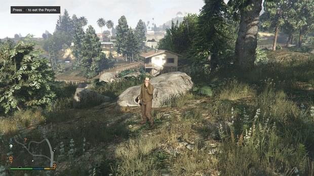 Peyote Location 18