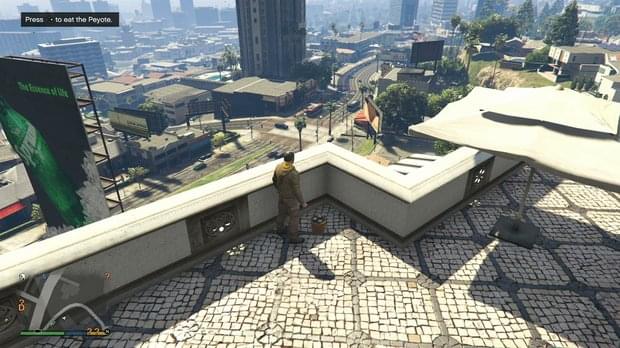 Peyote Location 19