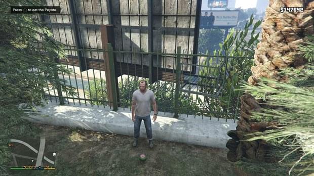 Peyote Location 2