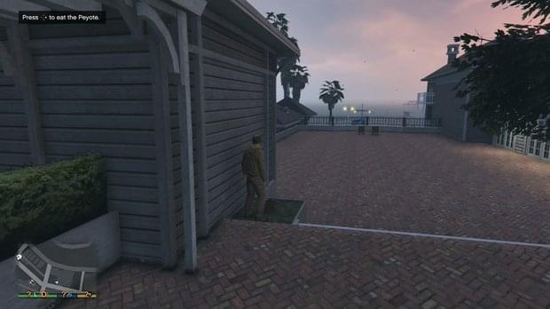 Peyote Location 20