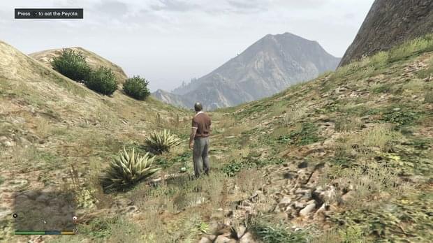 Peyote Location 25