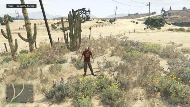 Peyote Location 26