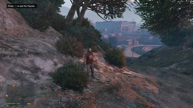 Peyote Location 27