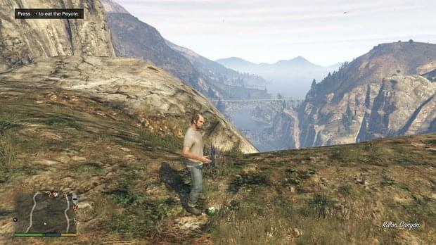 Peyote Location 3