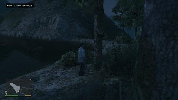 Peyote Location 4