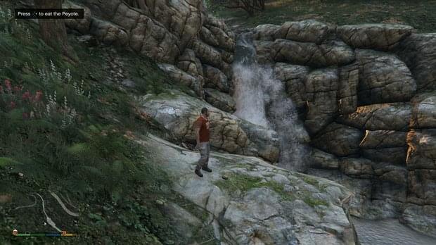 Peyote Location 7