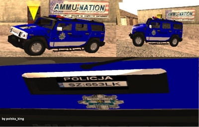 H2 Policja Polska