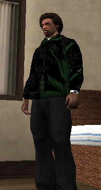 NEW GREEN HOODY