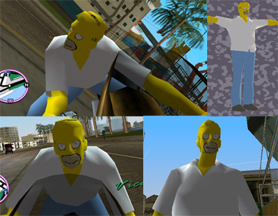 Homer Skin