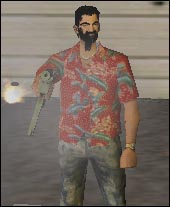 Skin 008