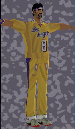 Lakers Fan