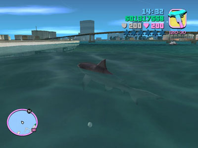 Shark Boat