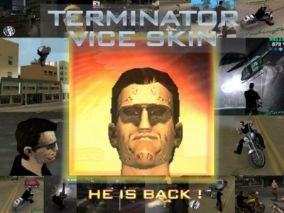 Terminator Skin