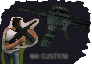 M4 Custom