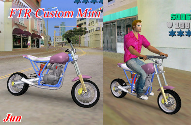 FTR Custom Mini