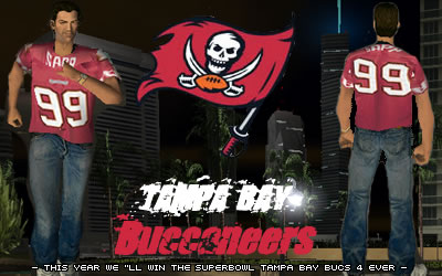 NFL Tampa Bay Skin