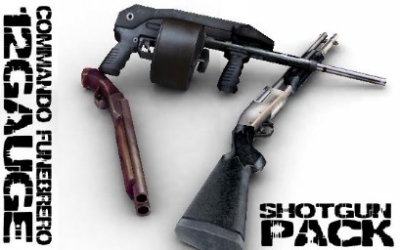 12 Gauge