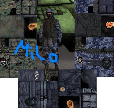 SWAT-Skinpack