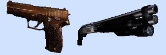 Sig P6 Remington M870