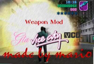Weapon Mod