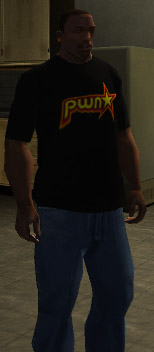 pwn*