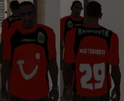 Hannover96-Skin