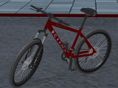 Kona Cowan 2005