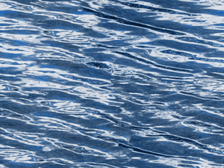 Wassermod for SA v.1.0
