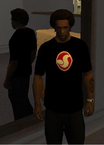DVS TShirt