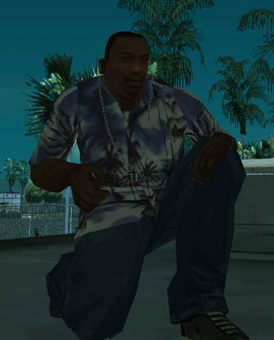 Hawaii Hemd