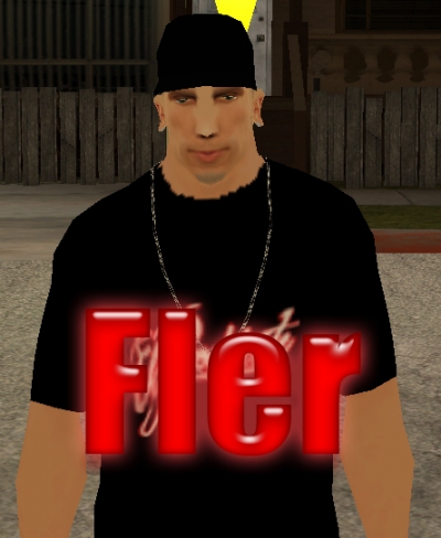 Fler Skin