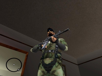 Solid Snake Skin