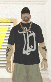 Bushdio T-Shirt