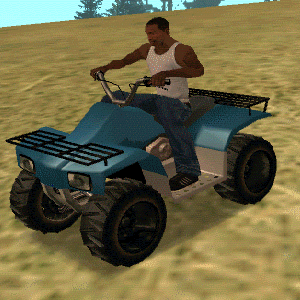 Quad Bike