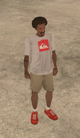 Quiksilver T-Shirt
