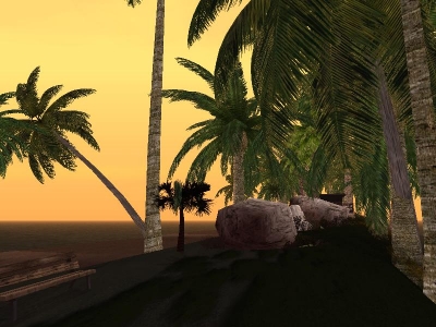 Palm Island