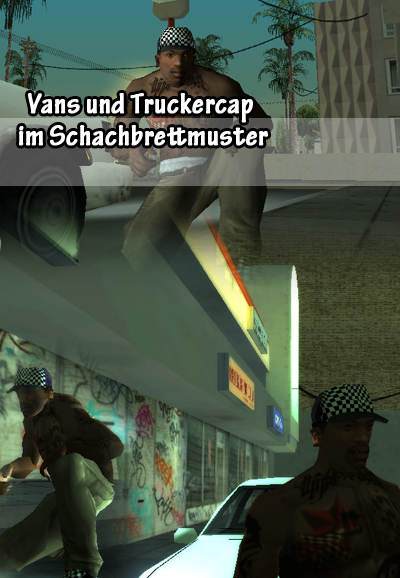 Vans und Truckercap