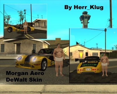 Morgan Aero DeWalt Skin