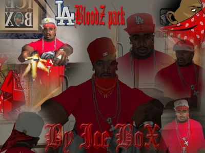LA BloodZ pack