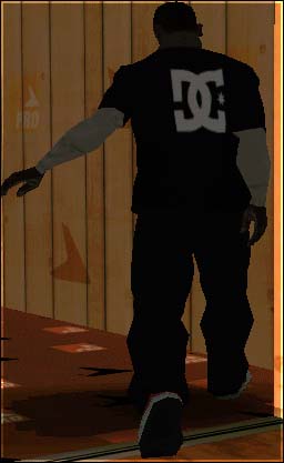 DC Skate Shirt