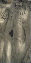 Picaldi Jeans