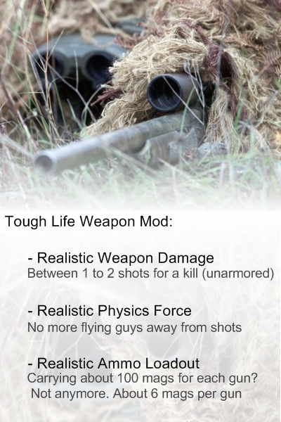 Tough Life Weapon Mod