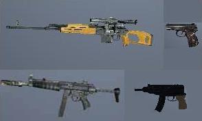 Weaponpac