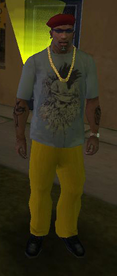 CJ Shirtpack